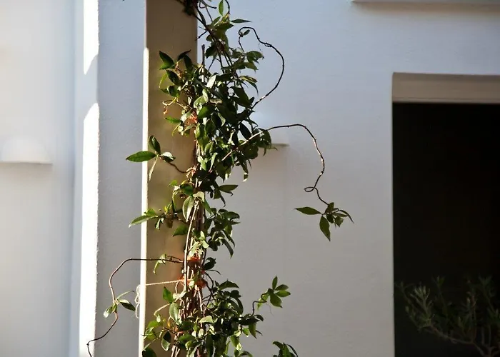 Smaragdi 3* Artemonas