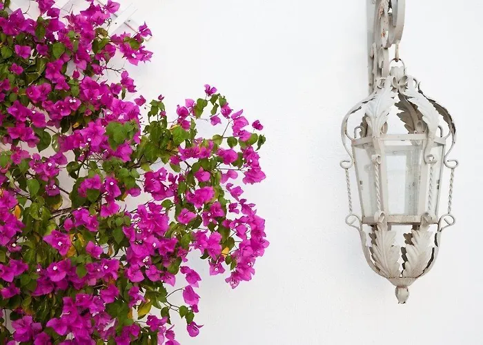 Hotel Smaragdi Artemonas