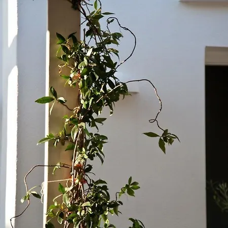Smaragdi 3* Artemonas