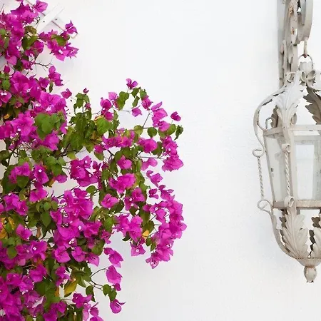 Hotel Smaragdi Artemonas